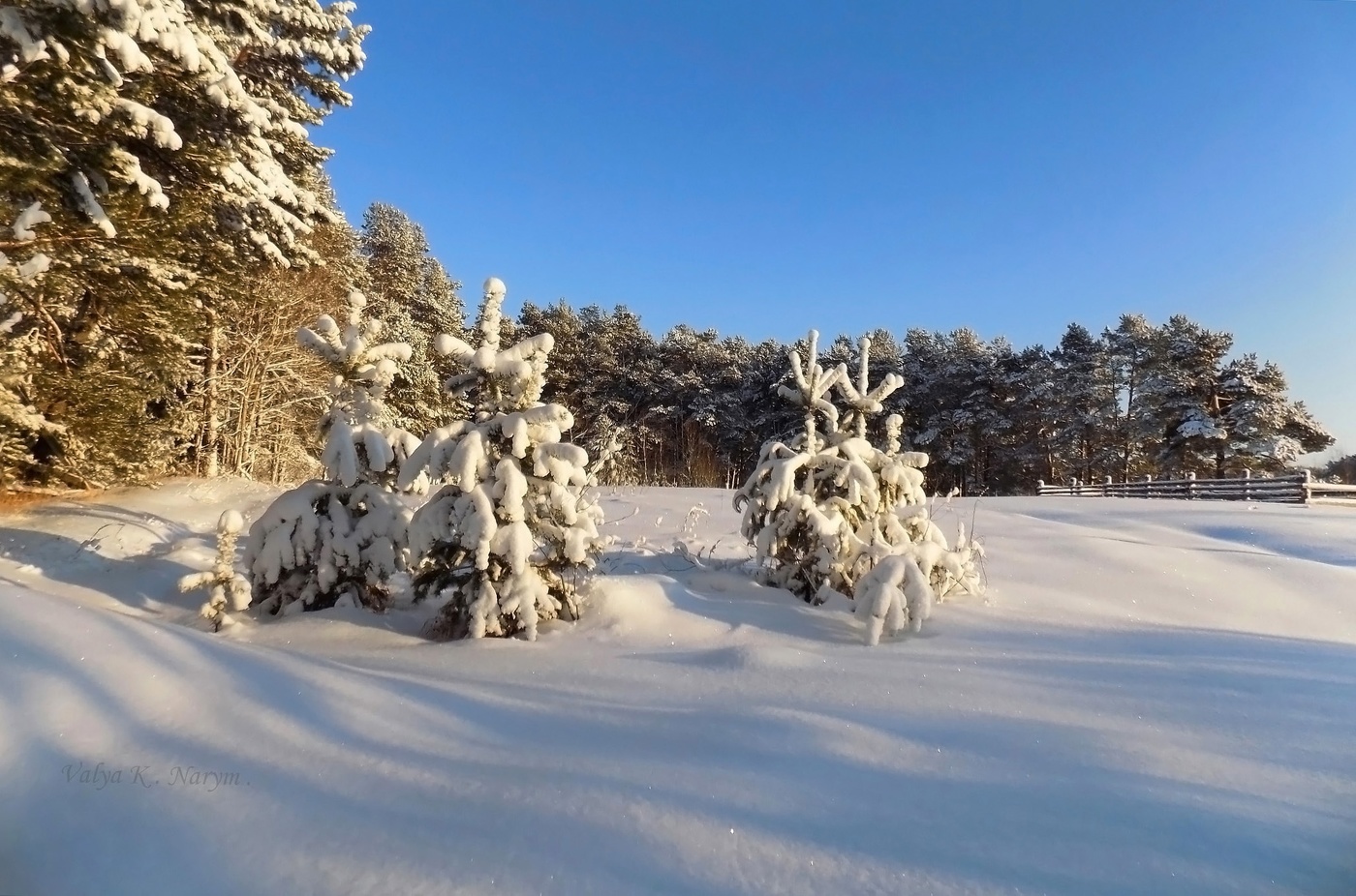 Укрыла белой пеленою Края сибирские зима....