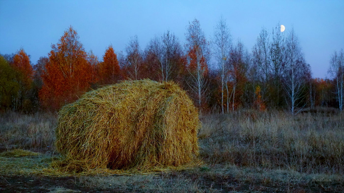 Осень в сумерках