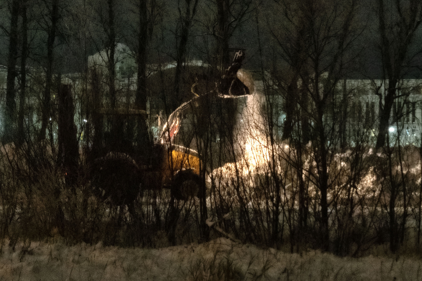 Жизнь вокруг