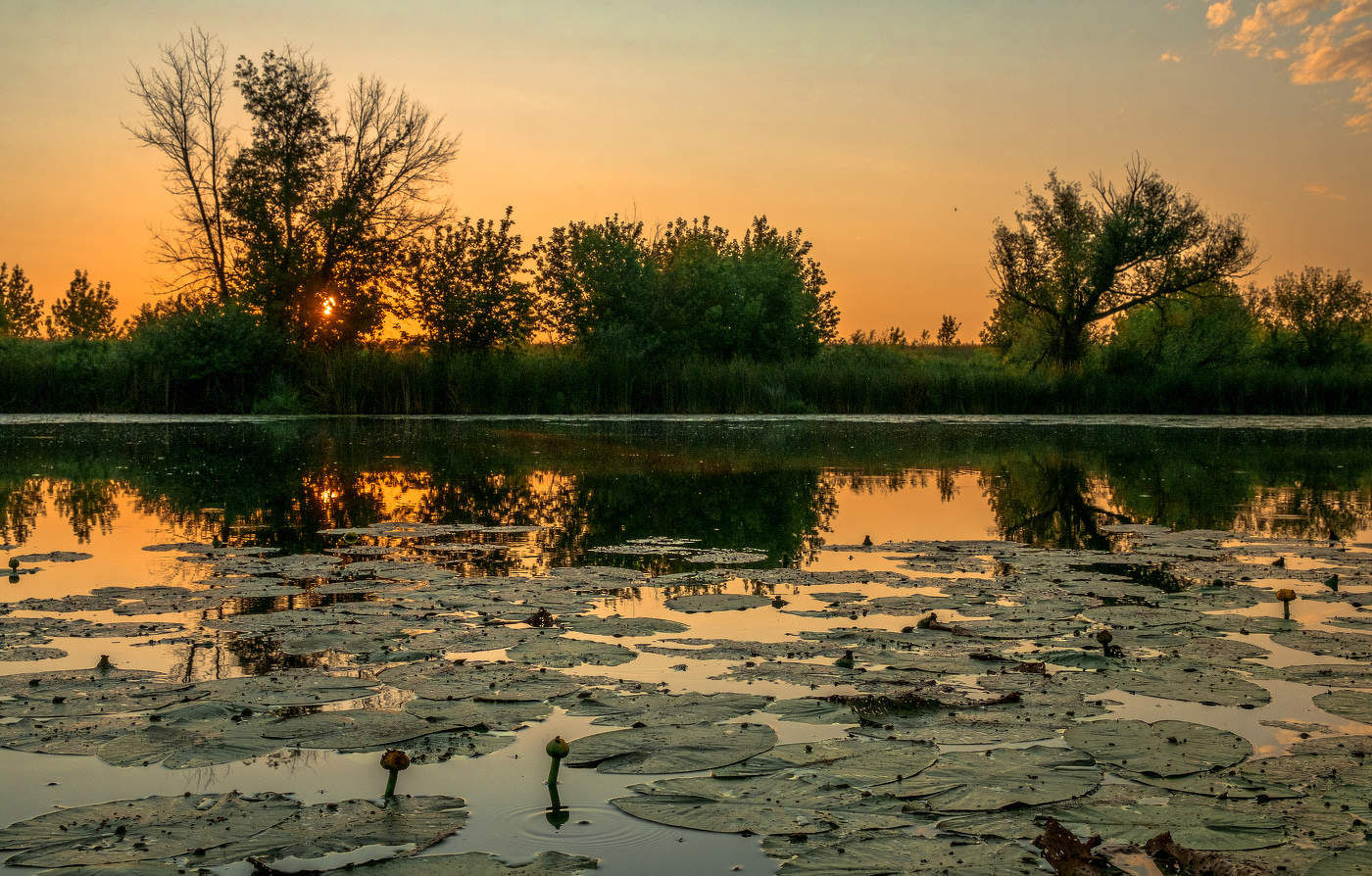 Середина лета.