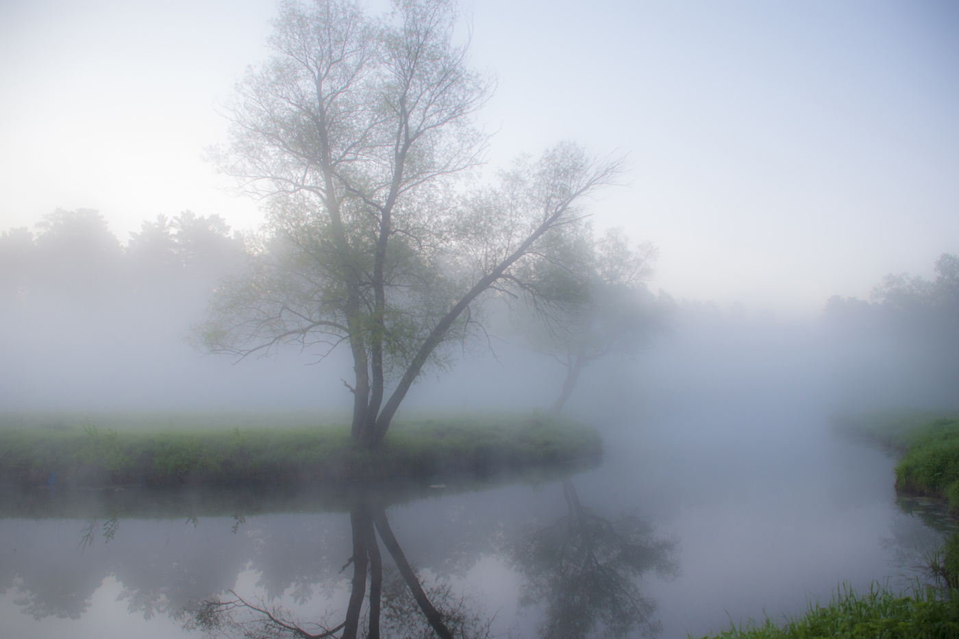 Туманное настроение