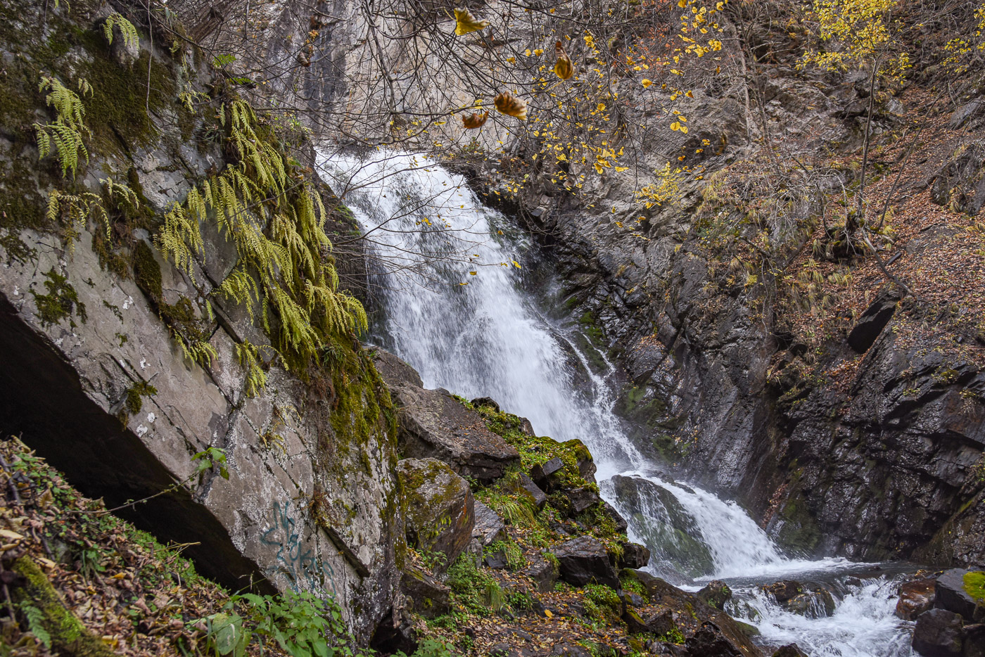 У горной реки