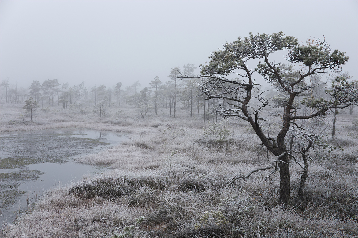 Холодный ноябрь