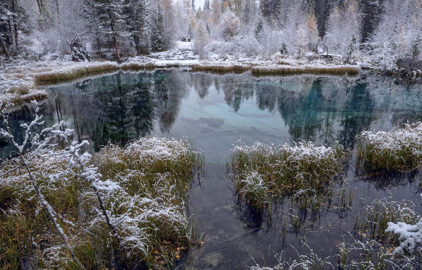 По первому снегу