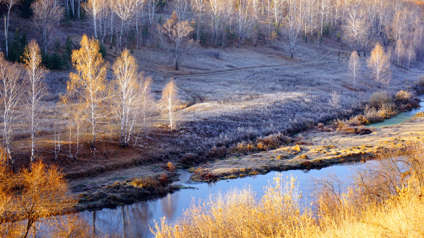 Осени морозное утро
