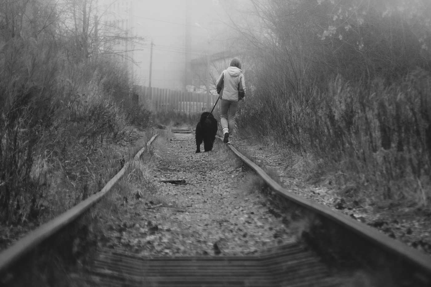 Любим мы каждое утро гулять по НАШЕЙ глуши...