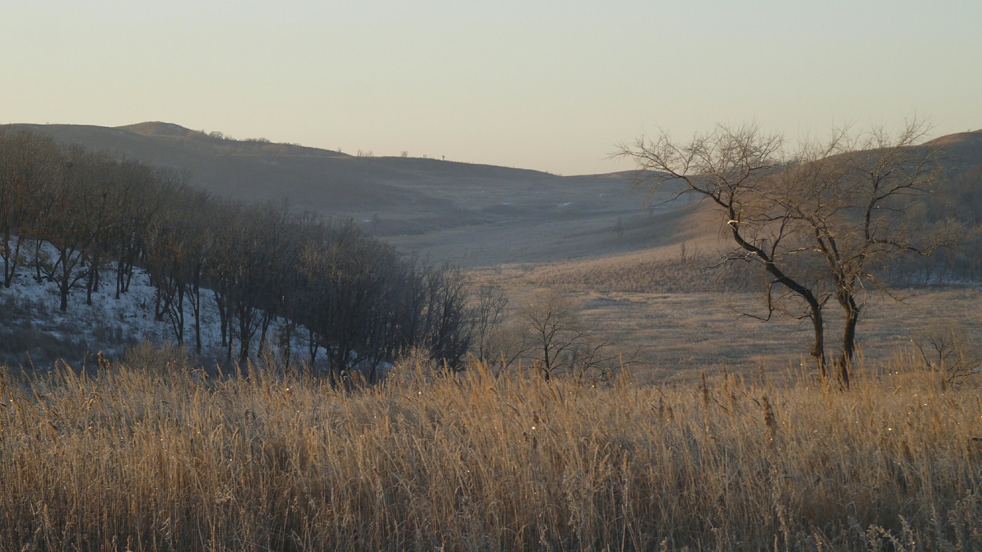 Дальний восток