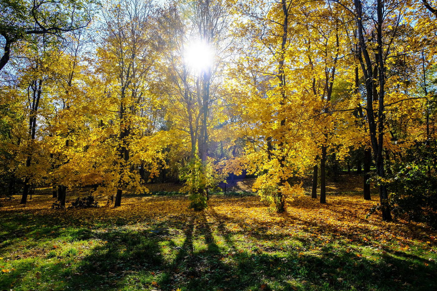 Осеннее настроение