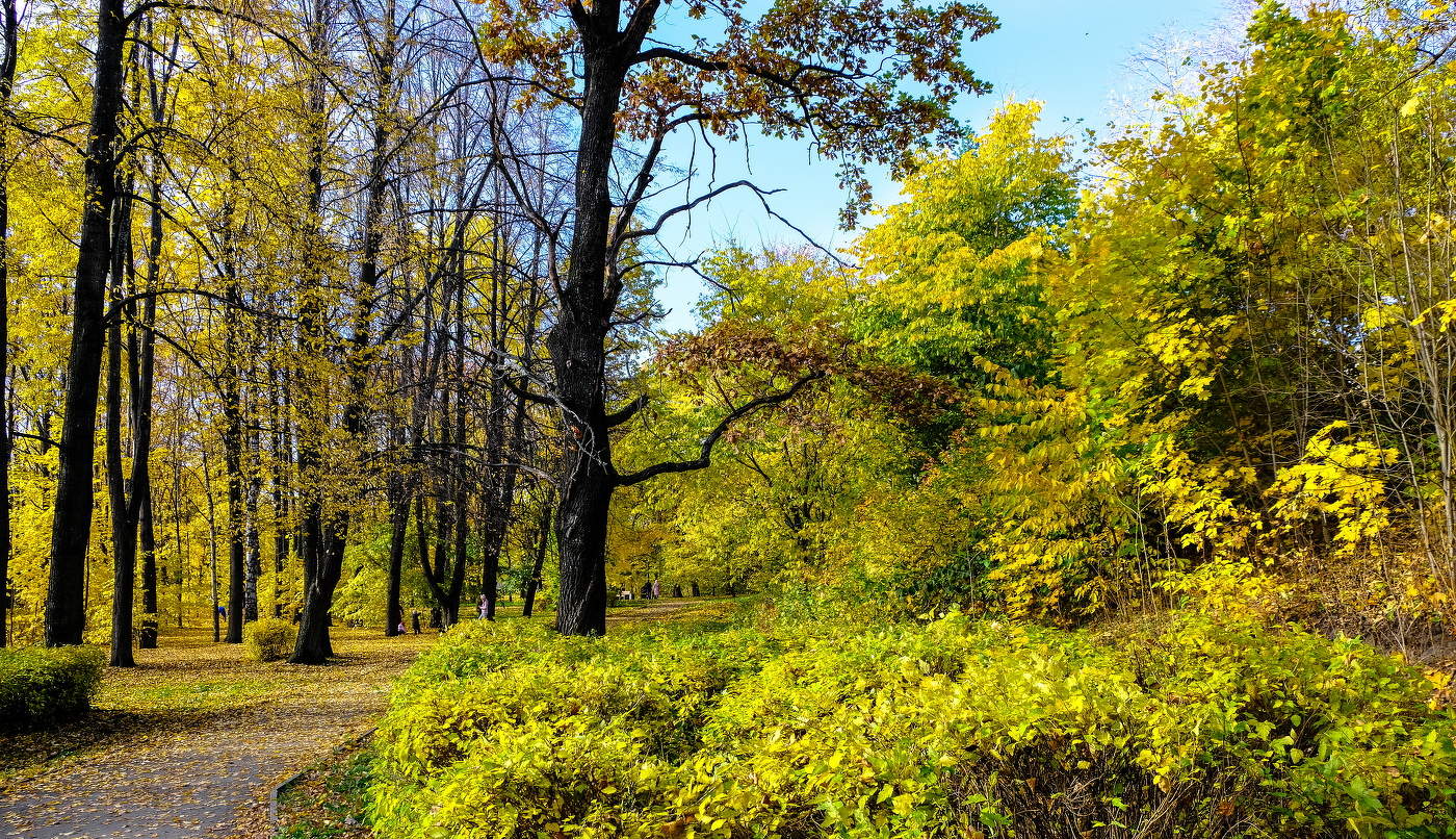 В красках осени