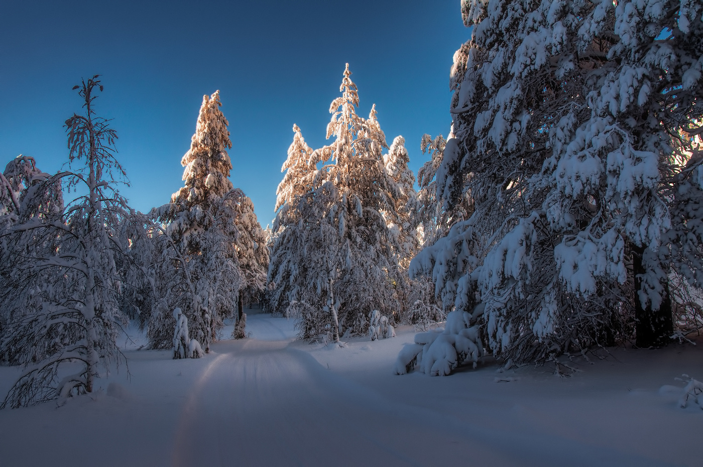 Зимний вечер