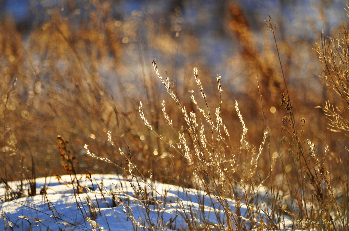 Зажигает солнце огоньки