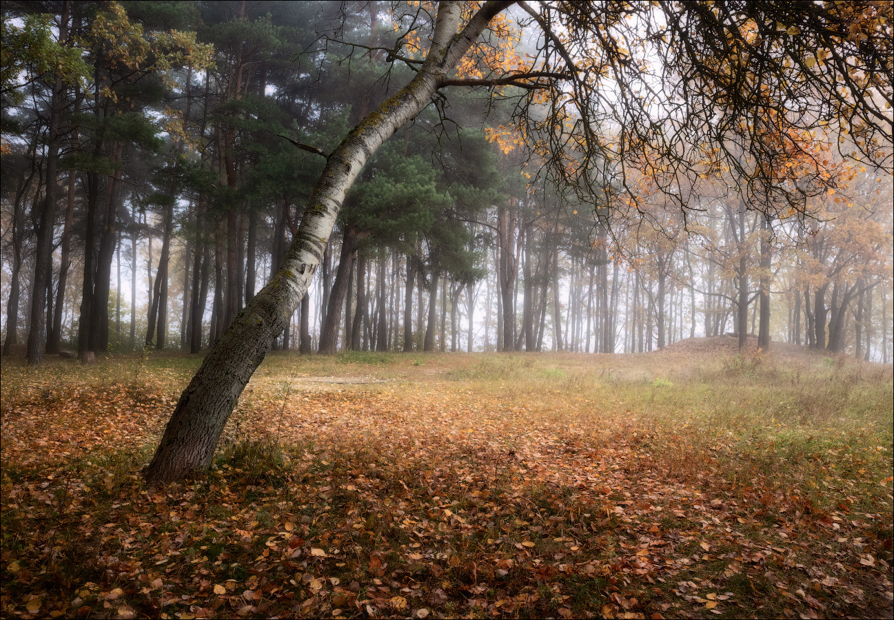 Осенняя зарисовка