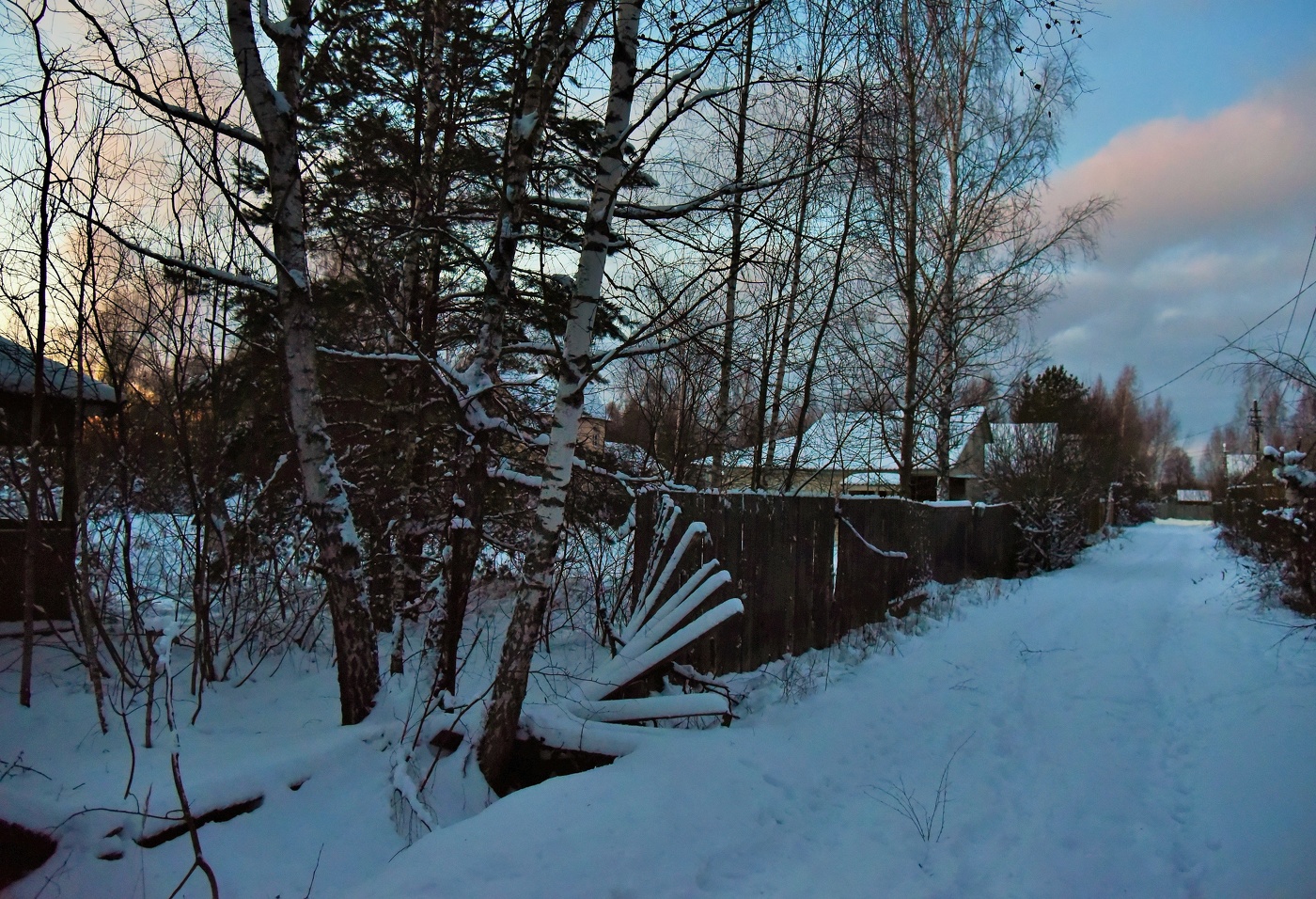 Диалог с тишиною ...