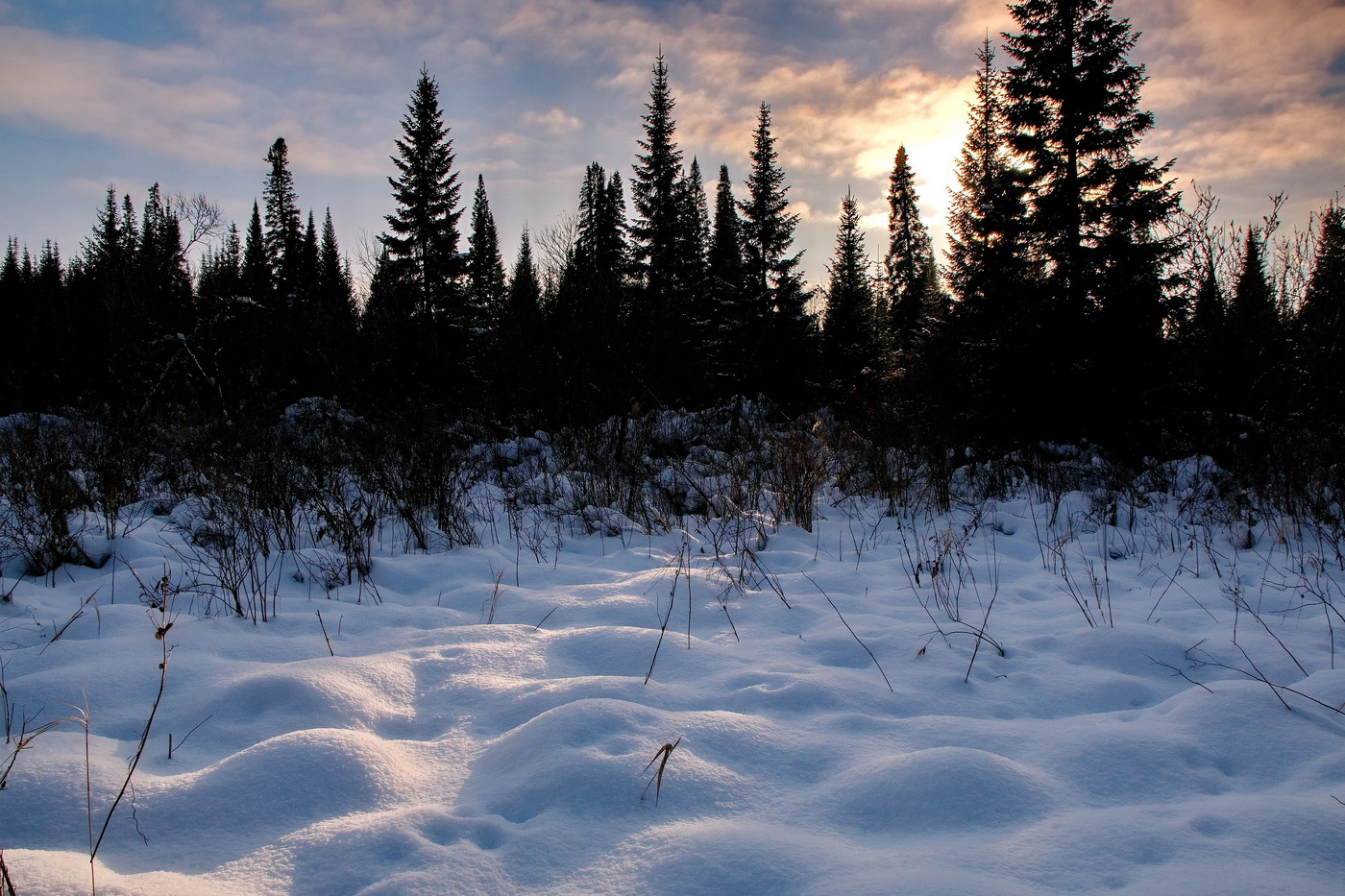 *Декабрьским днём.**