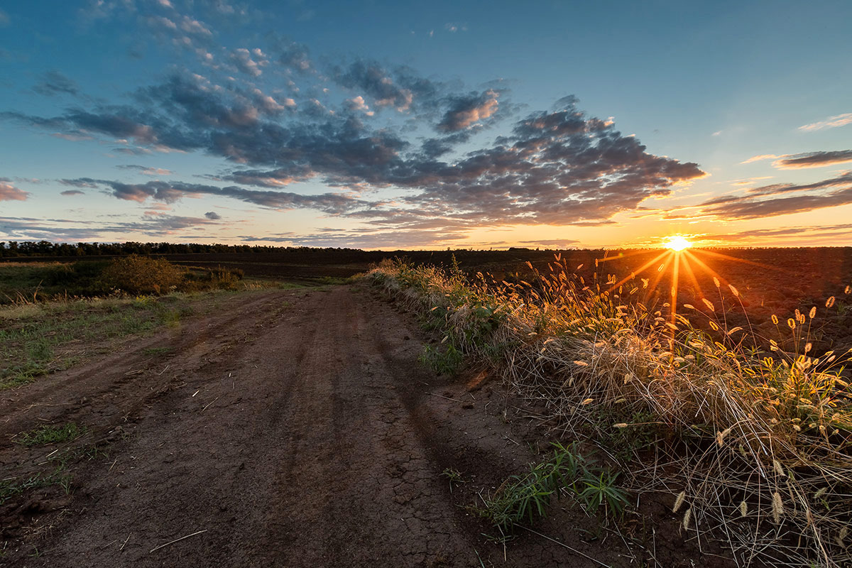 День прошел