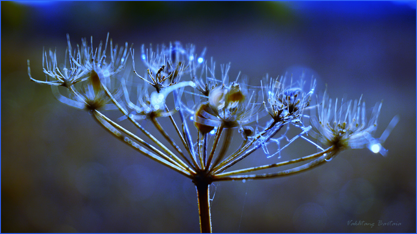 Осень с близкого расстояния