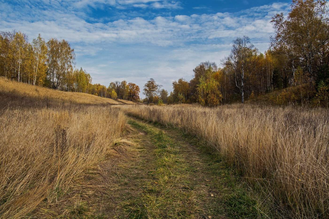 Осенняя дорога