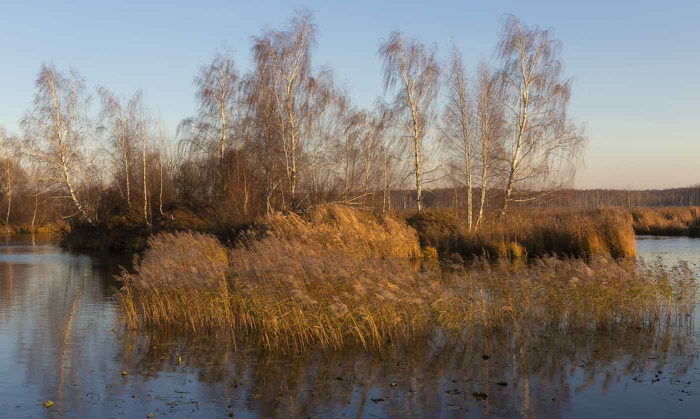 Осенняя зарисовка