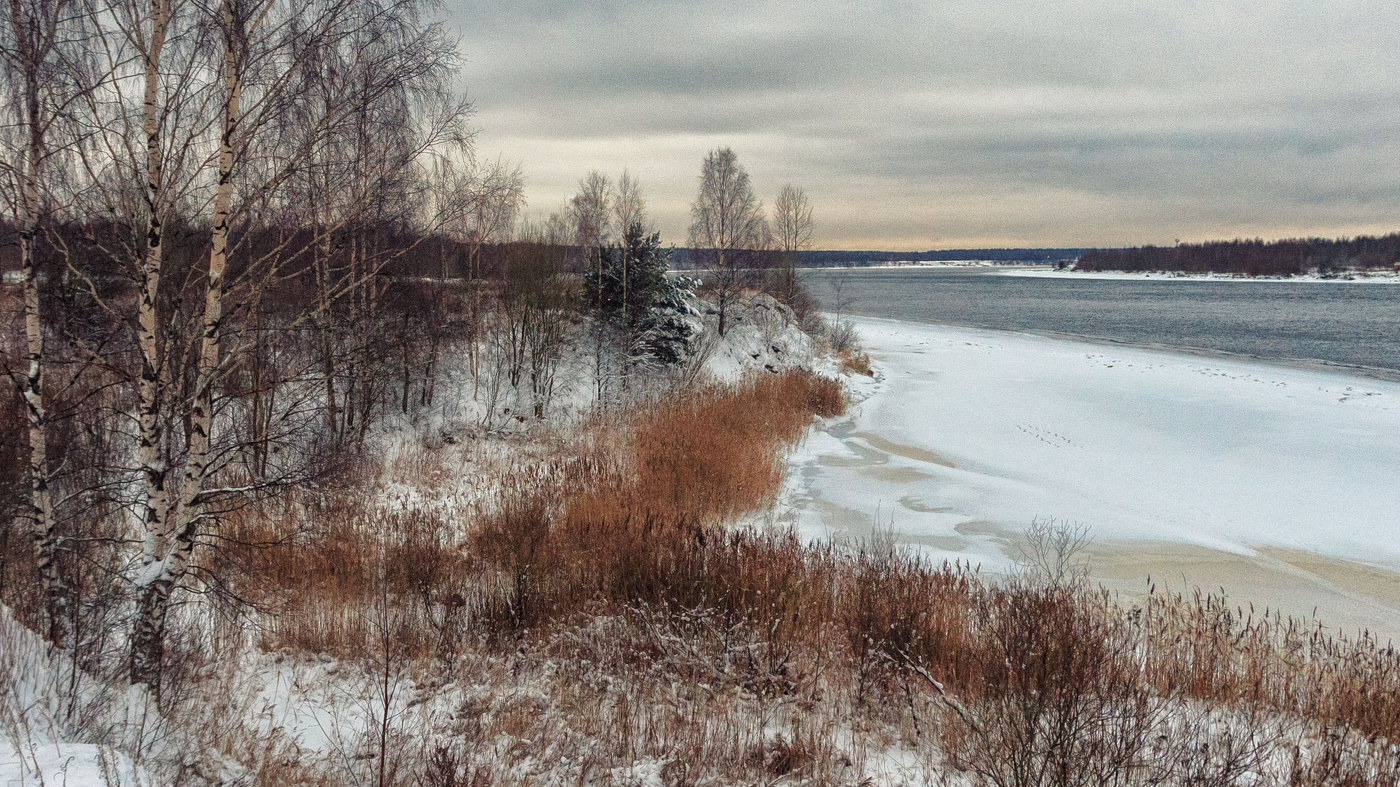 Жизнь вокруг