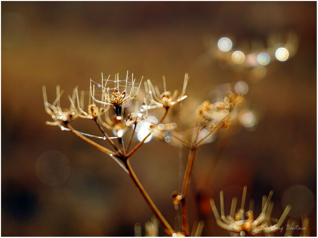 Осень с близкого расстояния #2