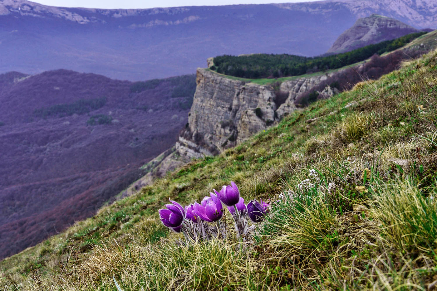 На Северном Демирджи