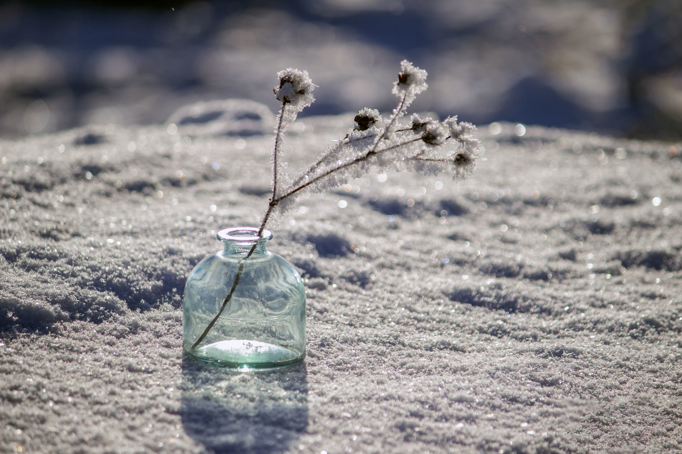 Зимний натюрморт