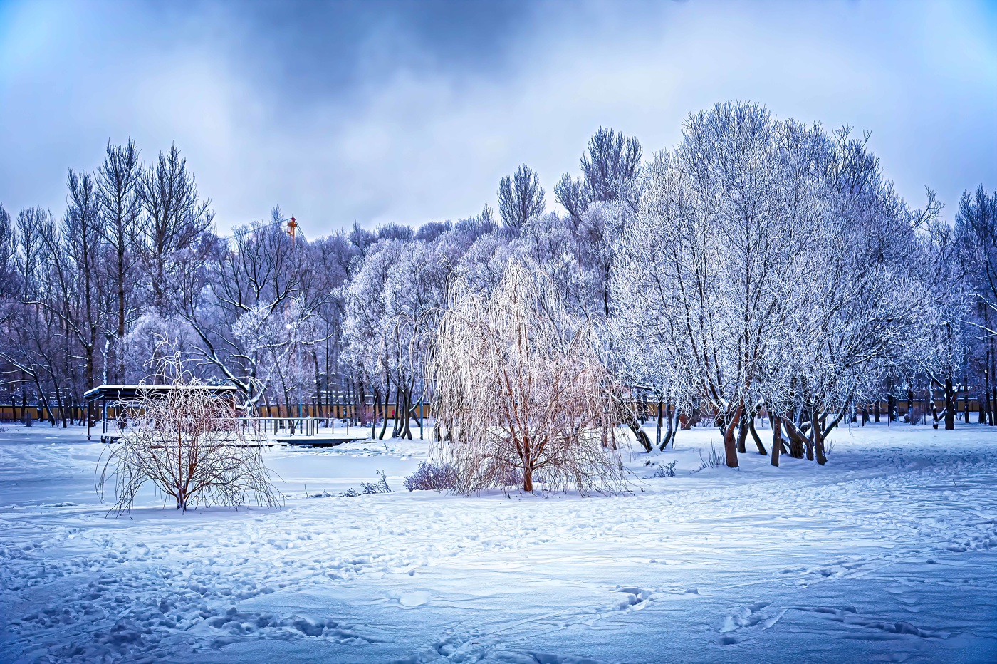 Зимняя Сказка.