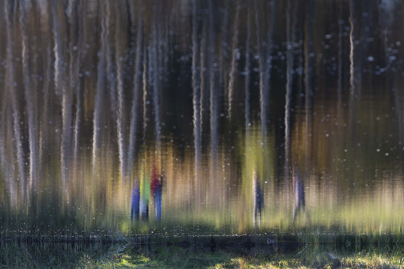 Парадоксы природы