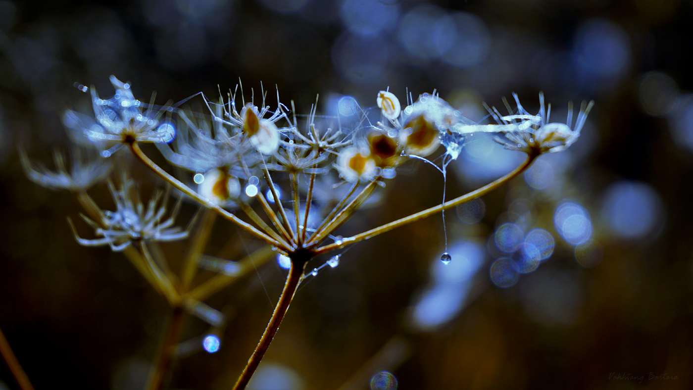 Осень с близкого расстояния #3