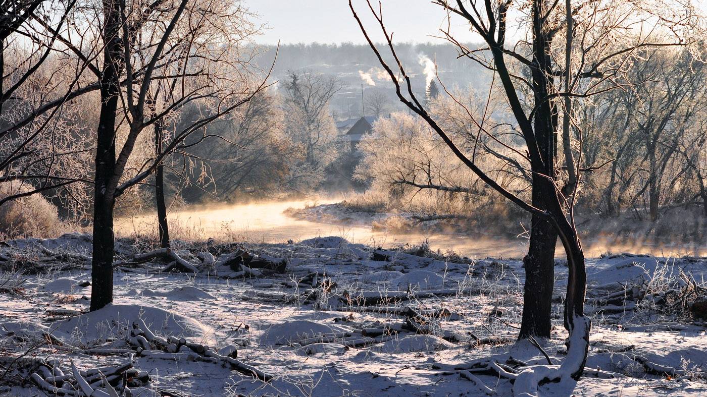 Морозное утро ноября