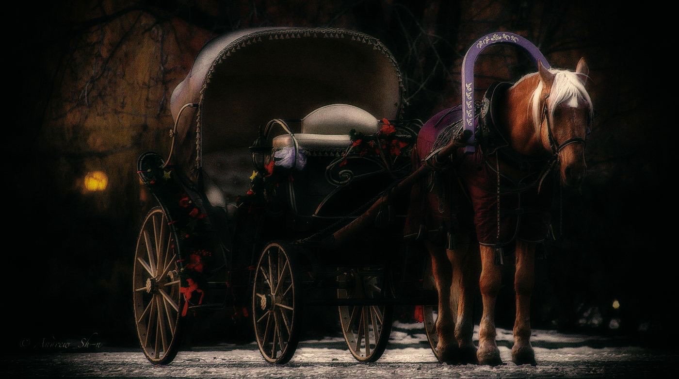 Полуночный экспресс