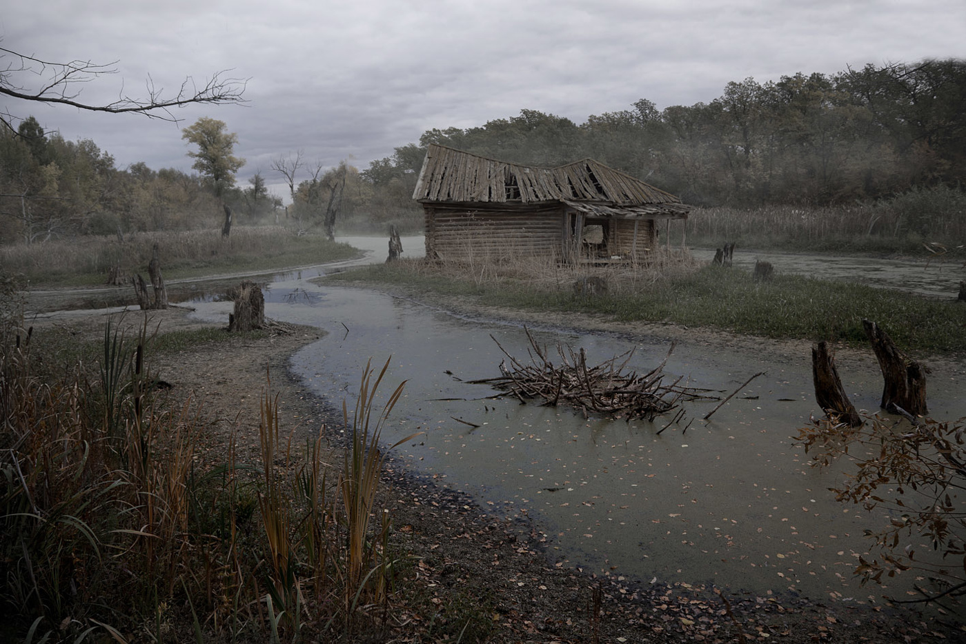 Домик в деревне