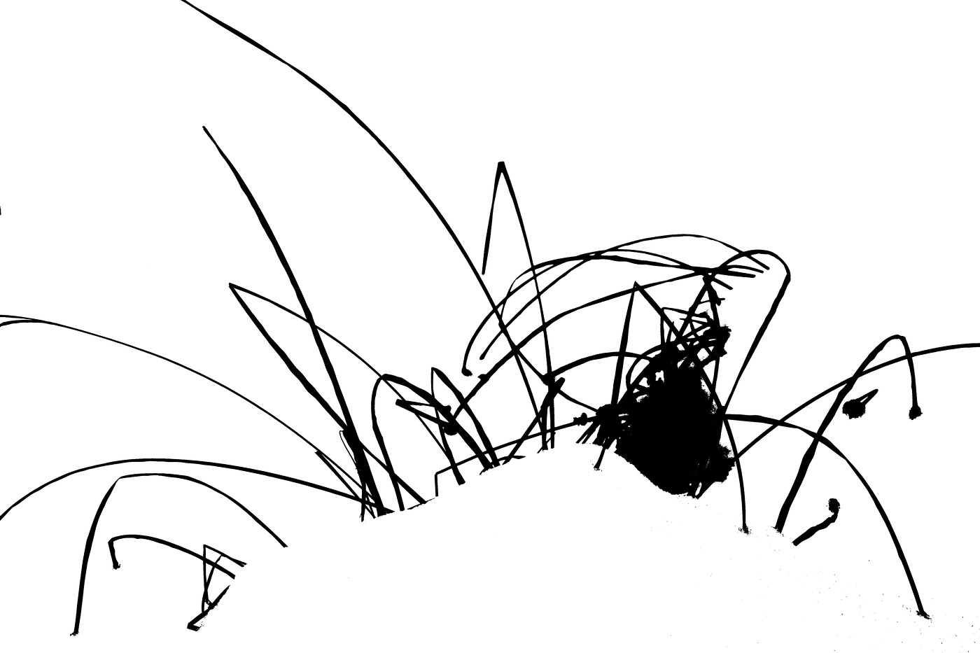 Жизнь вокруг