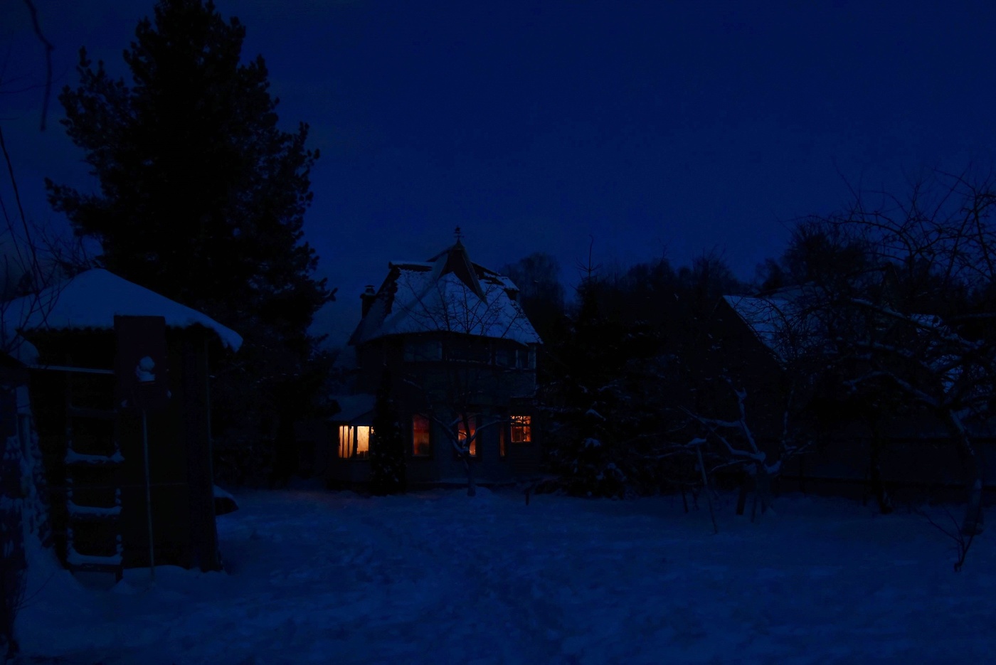 "День, как рыба, ныряет в густую ночь..."