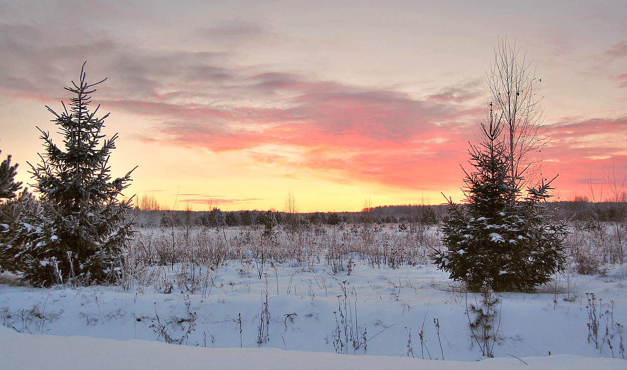 Зимний вечер в декабре