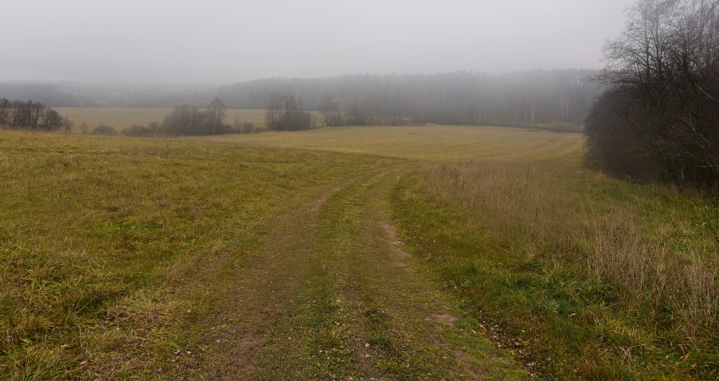 Дорога убегала в позднюю осень ...