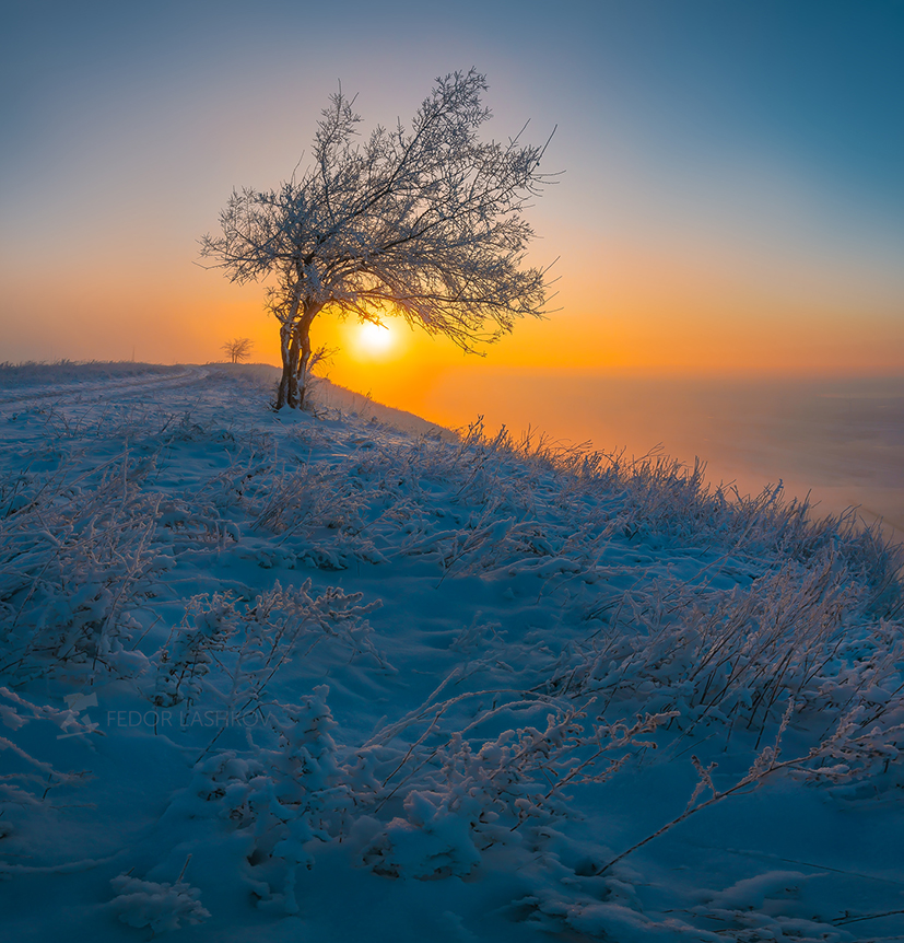 Тёплое солнце