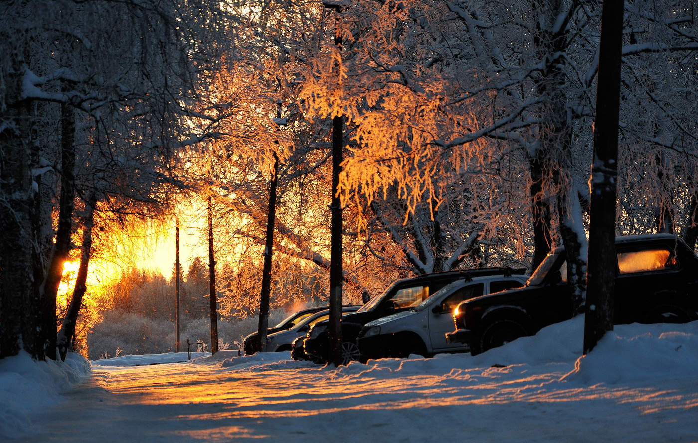 Вечерний свет.