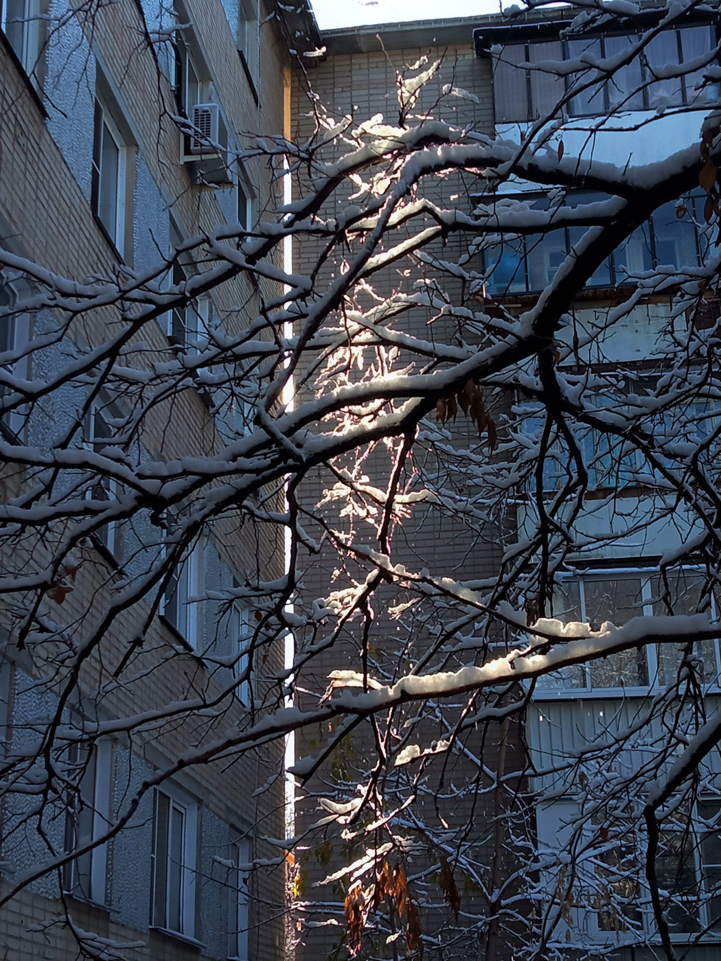 Челябинск. Первый снег