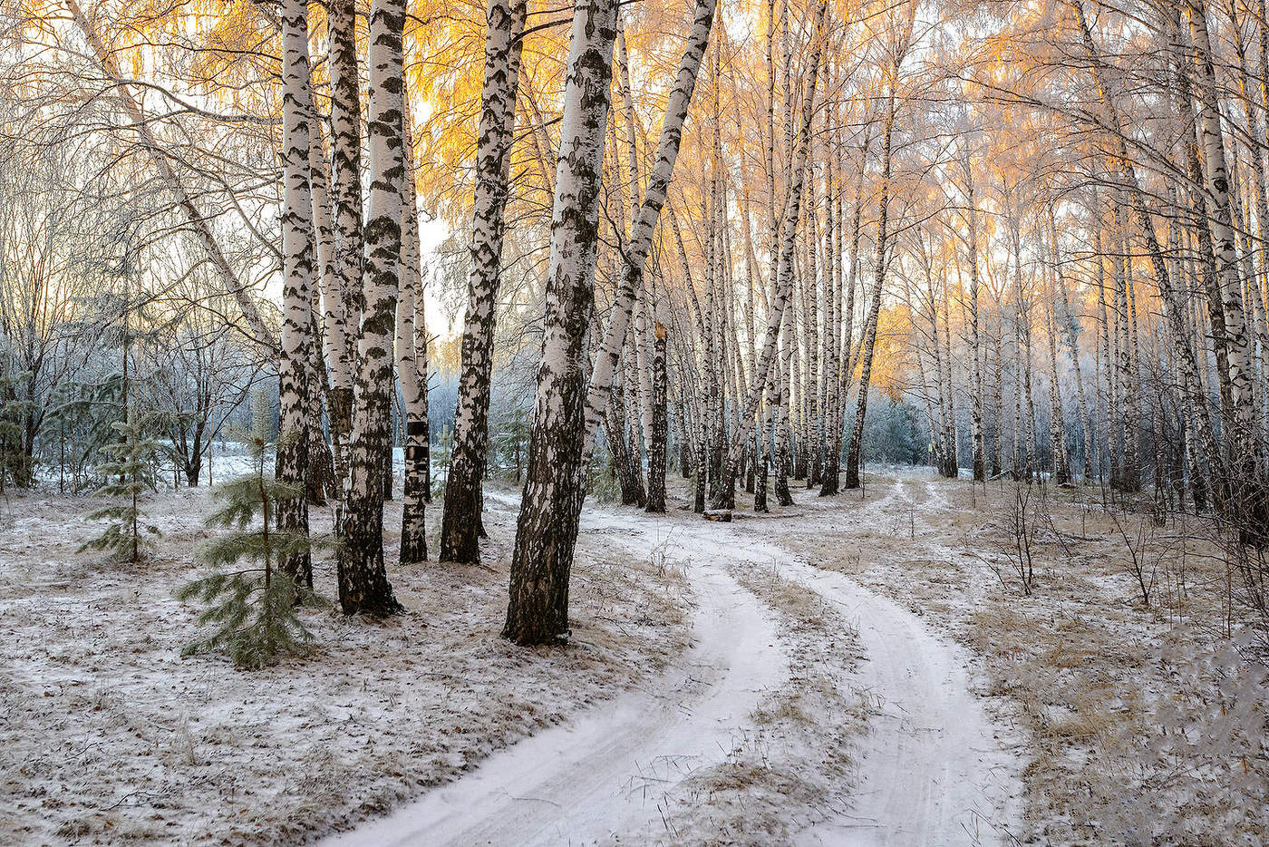Зимы начало...