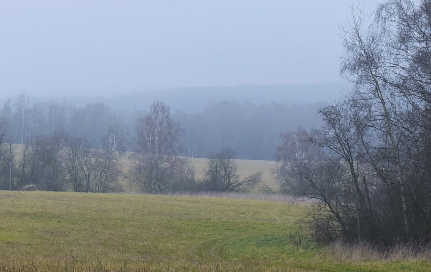 "Сиреневый туман над нами проплывает ..."