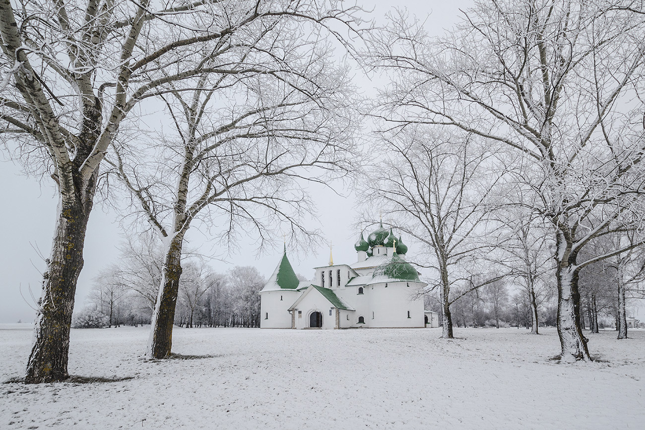 В белой тишине