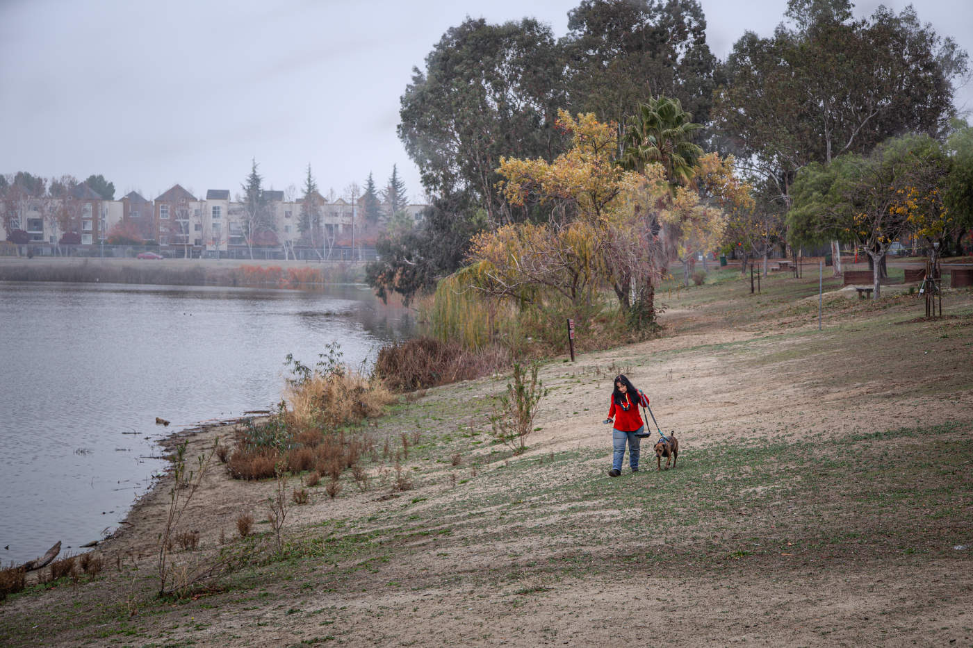 Такая зима...