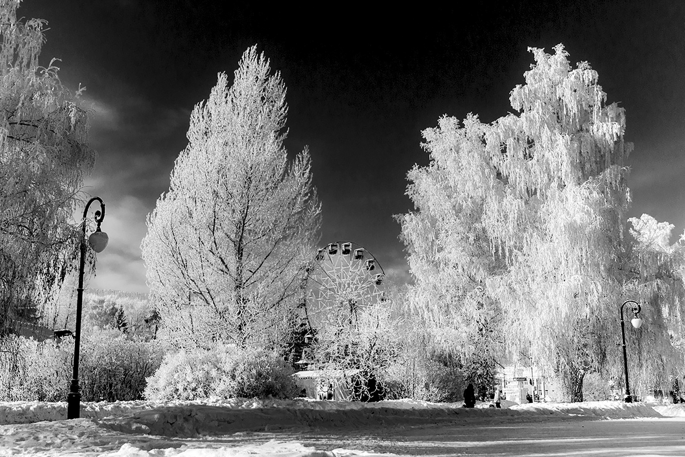 Белый, белый иней