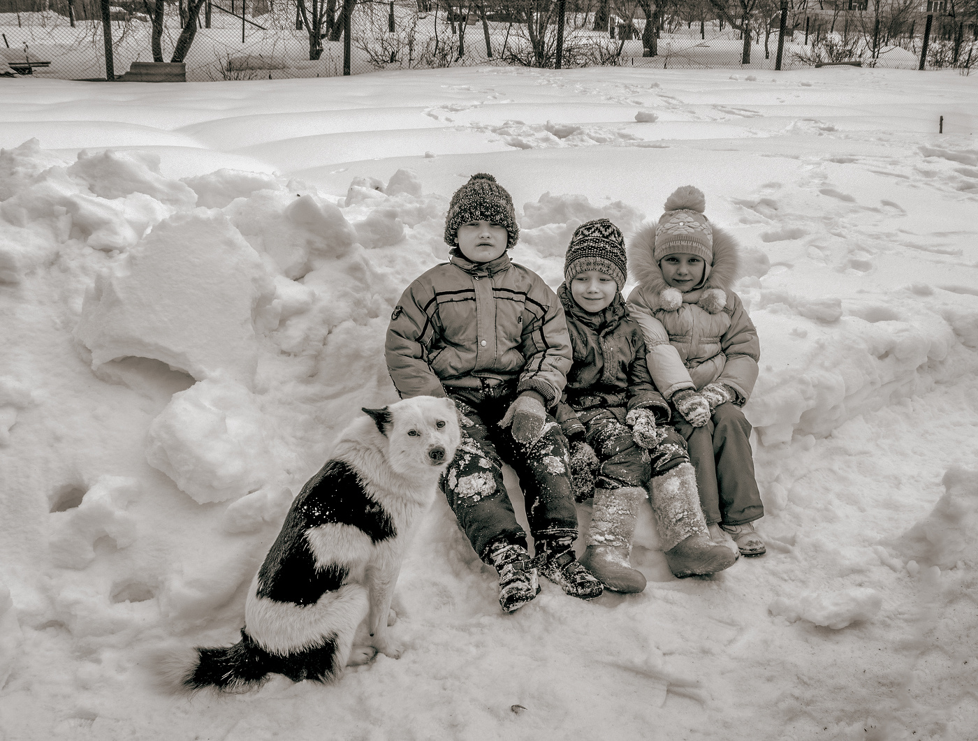 Зимние портреты