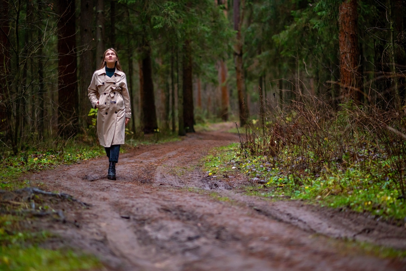 Вперёд в Новый год!