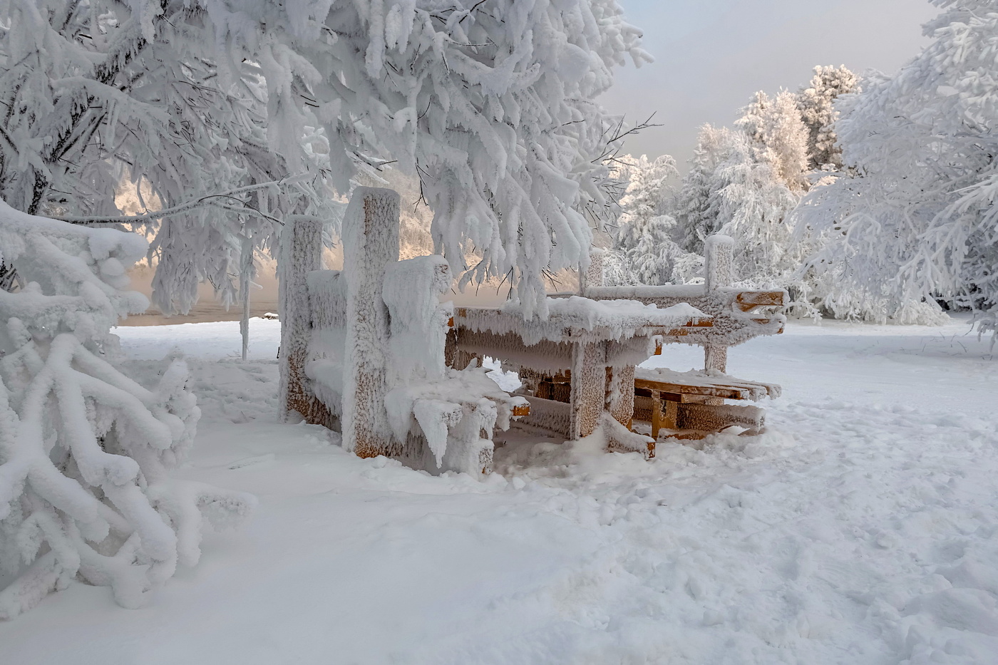 Царство Деда Мороза