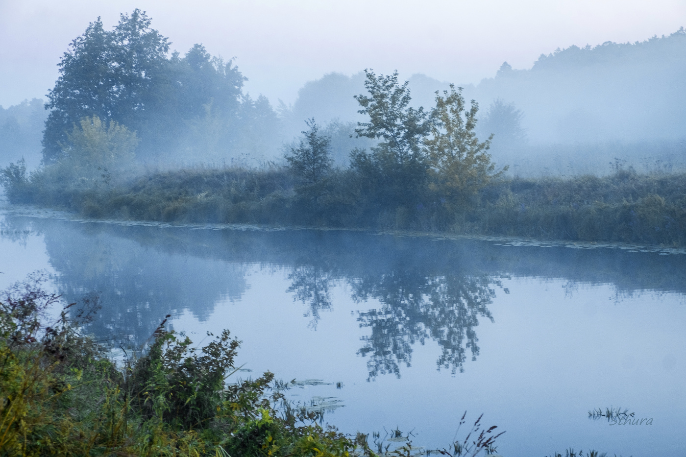 Туман на том берегу.