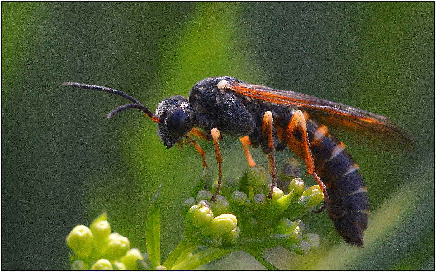 Устала что-то я.