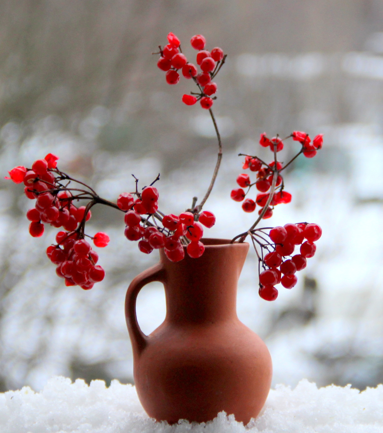 Калина красная!